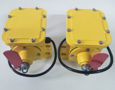 縱向撕裂檢測器JEDN-SLBZL-220B防爆縱向撕裂保護裝置 縱向撕裂檢測器JEDN-SLBZL-220B防爆縱向撕裂保護裝置